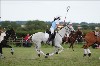 UKPA NC SAT_2939